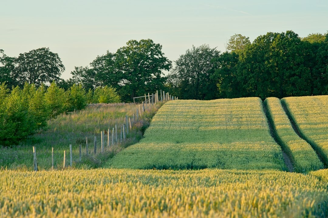 farmer working in field denmark