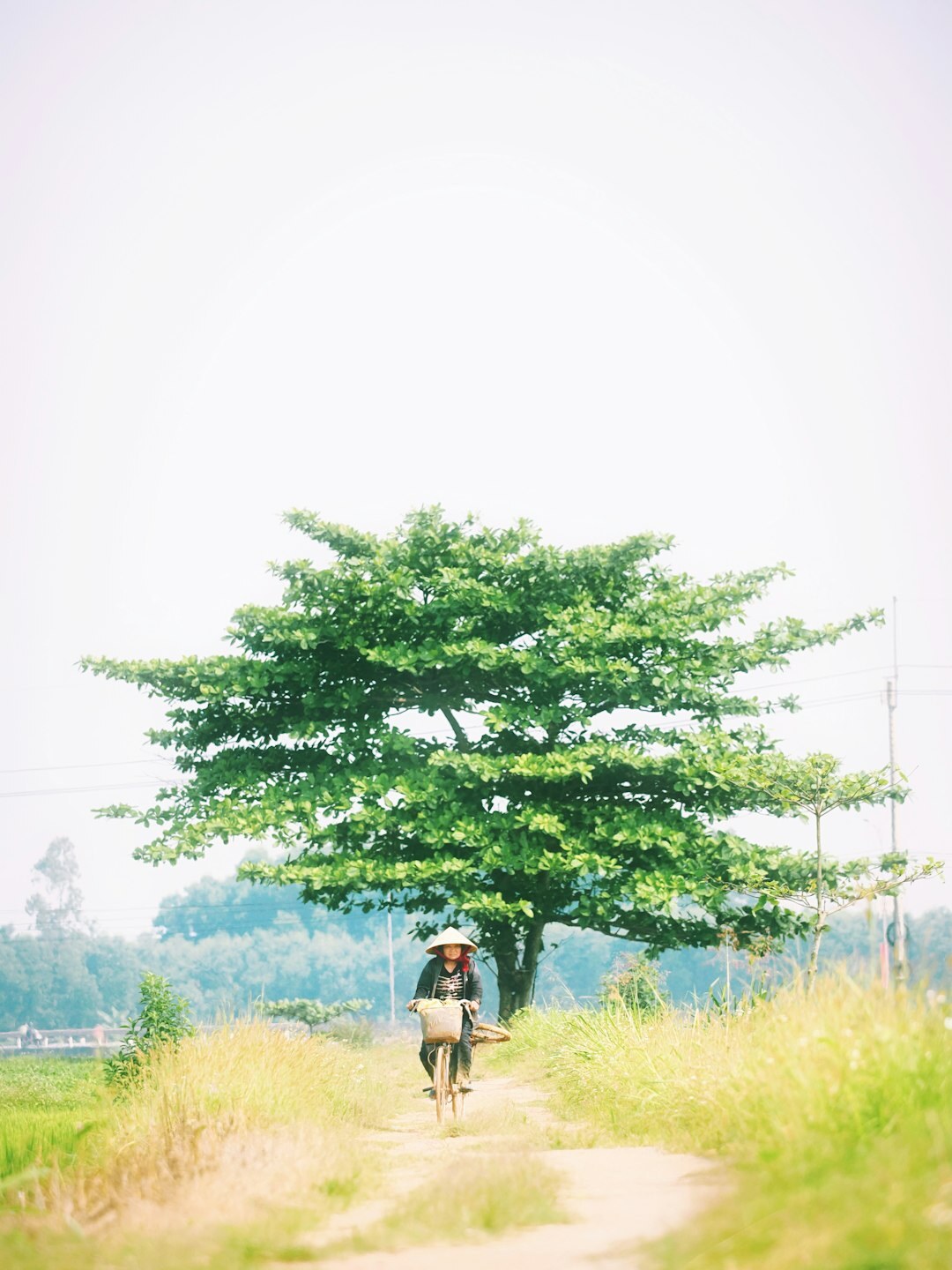 photographer taking pictures in rural area